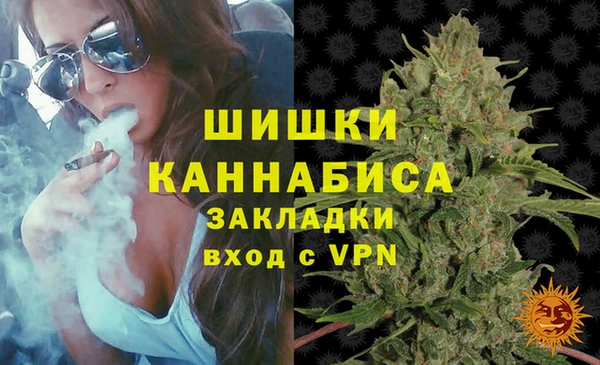 ГАЛЛЮЦИНОГЕННЫЕ ГРИБЫ Балахна