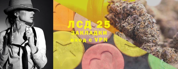ГАЛЛЮЦИНОГЕННЫЕ ГРИБЫ Балахна