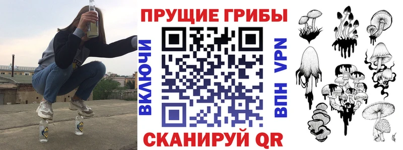 магазин продажи наркотиков  Первомайск  Псилоцибиновые грибы прущие грибы 